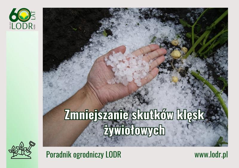 Optymalizacja obrazów bez utraty jakości