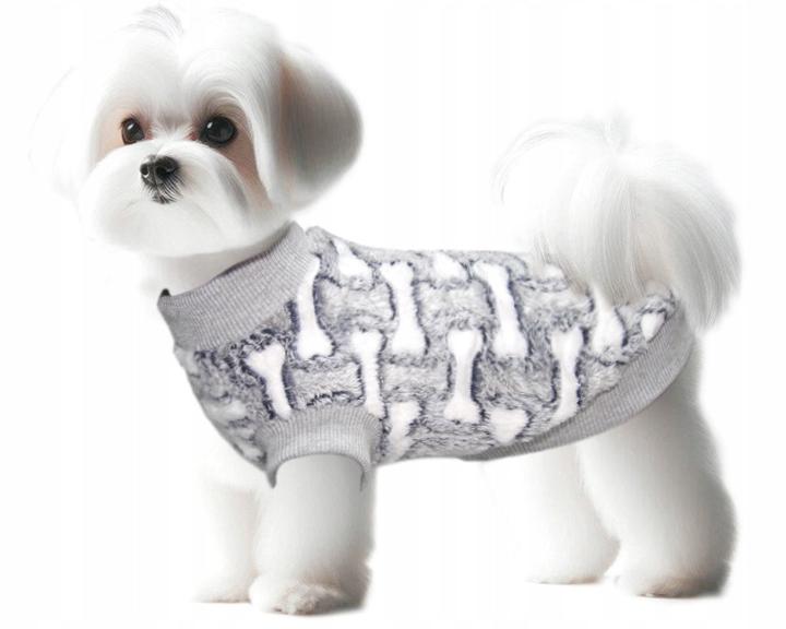 Jak dobrać idealny rozmiar ubranka dla maltańczyka?